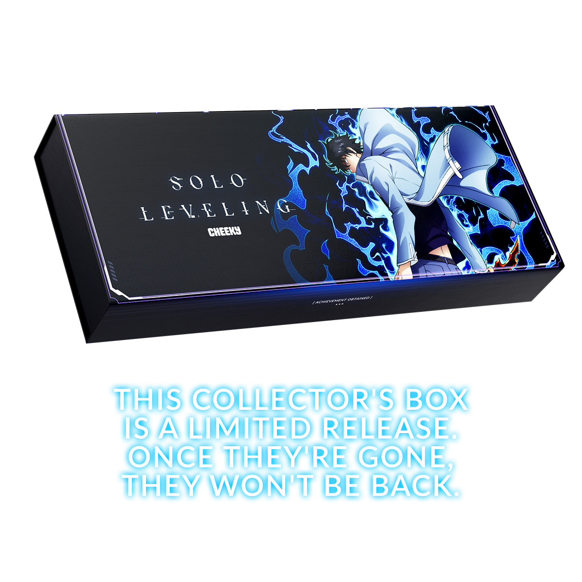 Solo Leveling Collector's Box